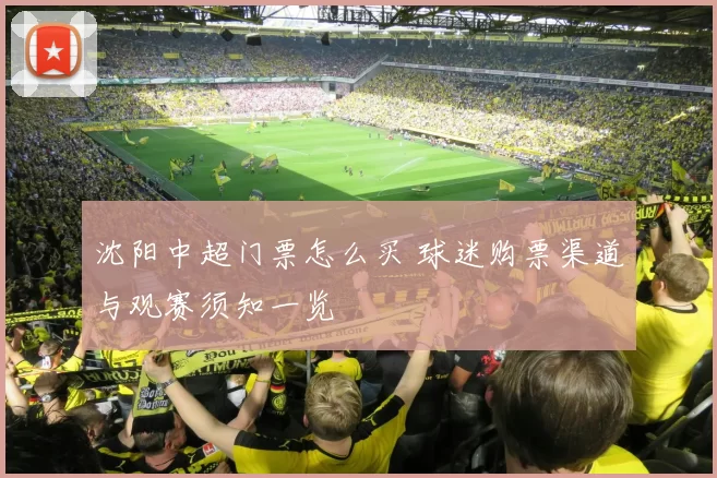 沈阳中超门票怎么买 球迷购票渠道与观赛须知一览