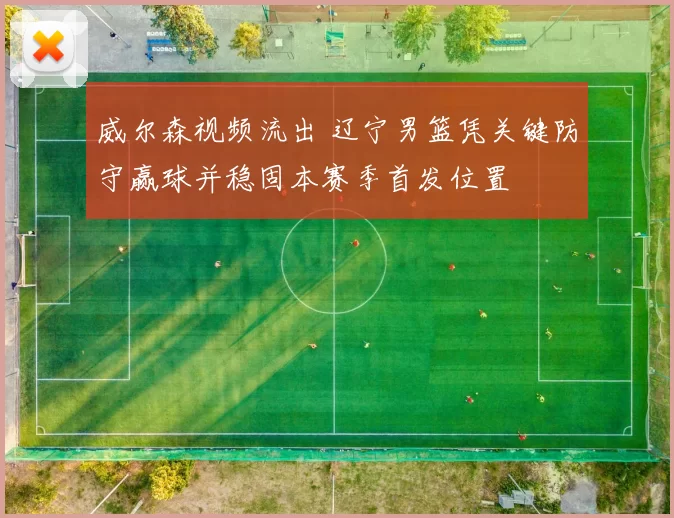 威尔森视频流出 辽宁男篮凭关键防守赢球并稳固本赛季首发位置